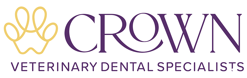 crown veterinary dental specialists logo