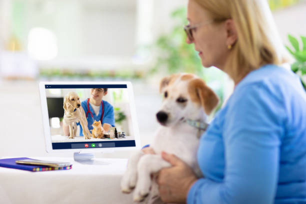 a person holding a dog and looking at a computer screen