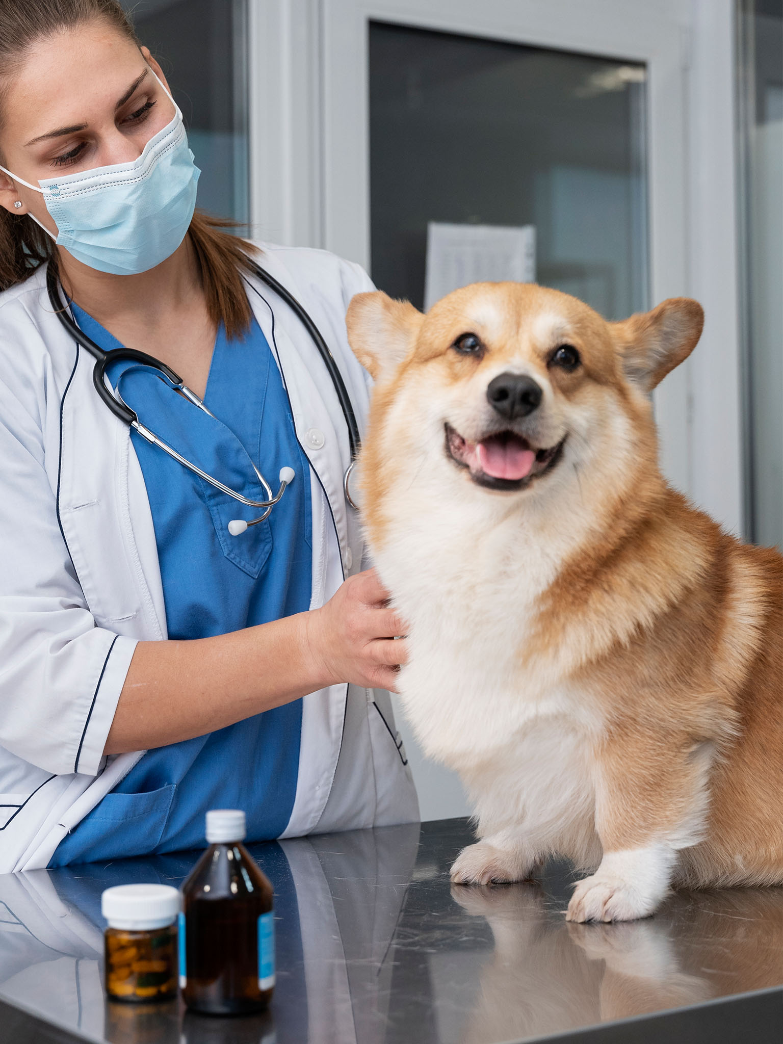 a person wearing a mask and a white coat with a brown dog